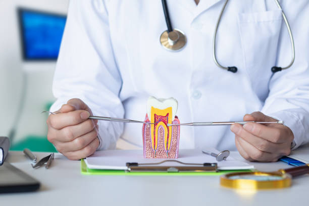 Best Emergency Treatment for Dental Infections or Abscesses in Methuen Town, MA